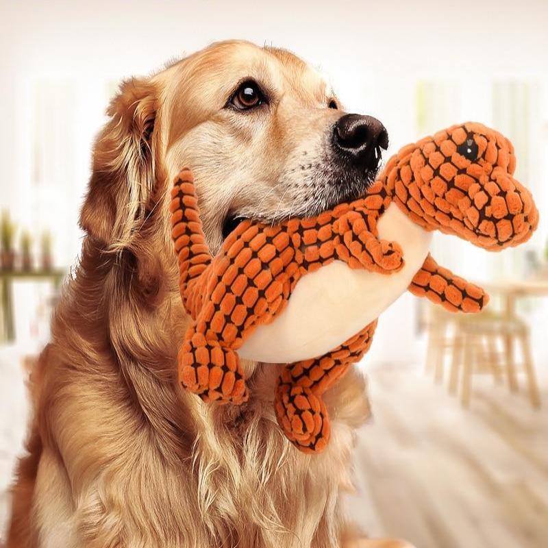 Pet Supplies