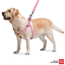 Eco-Friendly Recycled Cotton Dog Harness – Adjustable, Reflective & Hypoallergenic – Large (L) – Safe QR Code ID Tag for Pets