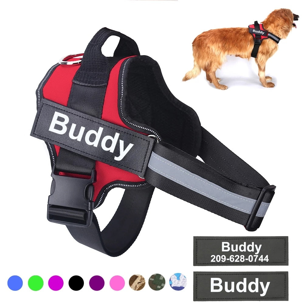 Pet Supplies
